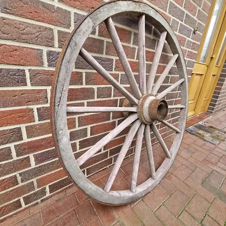 Prázdninový dům Holzwurm Dushorn